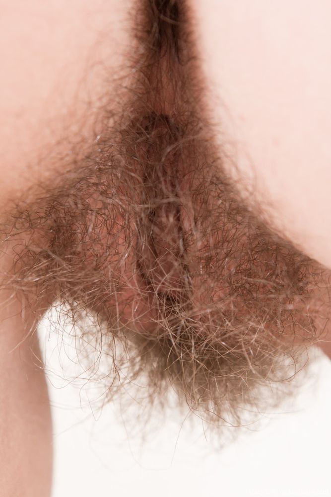 Hairy Teen Pussy Closeup